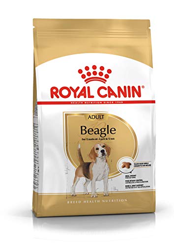 Royal Canin Dog Food Beagle Adulto 3 Kg