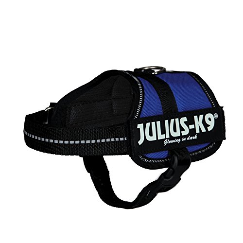 Julius-K9, Pettorina K9, Taglia: S/Mini, Colore: Blu