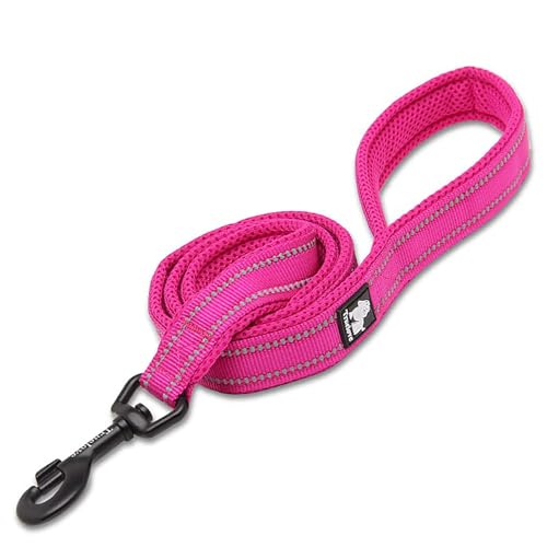 Truelove Guinzaglio Del Cane Tll2111 Puppy Walking Guinzaglio, Pet Trazione Della Corda Catena Corda, Maniglia, Imbottito Riflettente Notte Di Sicurez
