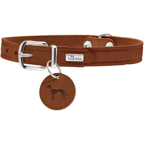Hunter Aalborg - Collare Per Cani, In Pelle, Semplice, Resistente, Confortevole, 52 (M), Colore Cognac