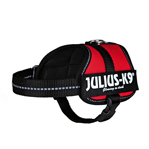Julius-K9, Pettorina K9, Taglia: Xs/Mini-Mini, Colore: Rosso