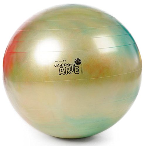 Gymnic 9536 - Arte 65, Multicolor
