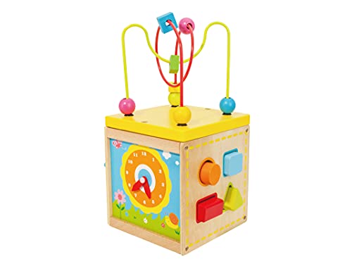 Teorema Giocattoli- Cubo Multi Attività In Legno Con Labirinto Montessori, 40588