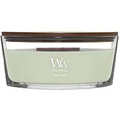 Candela Woodwick 2643832E