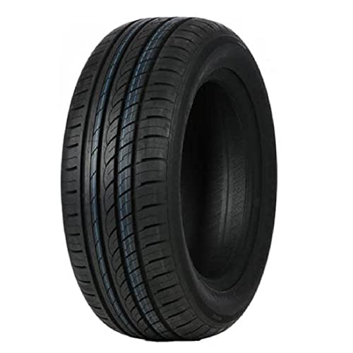 Pneumatico Estivo 205/55 R16 (91V) Double Coin Dc99