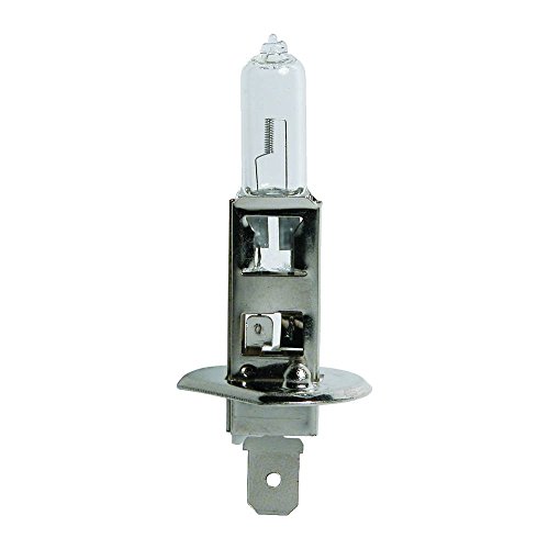 Carpoint 0725011 Lampe H1 55W P14, 5S Box