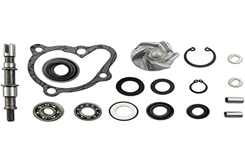 Reparaturkit Acqua Pompa Per Kymco 250 – 300 Lc