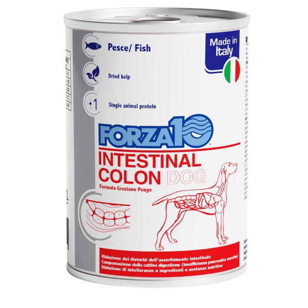 Forza10 actiwet cane intestinal colon 390 gr - salmone e sgombro