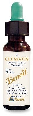 Fiori Di Bach Benoit Clematis 10 Ml