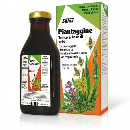 Piantaggine 250 Ml