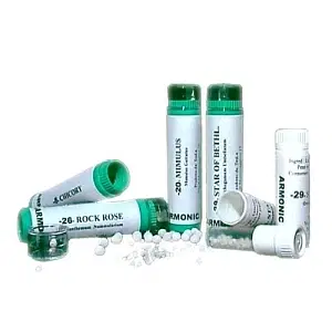 Armonic 28 Scleranthus 70 G