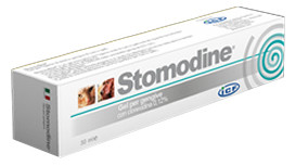 Stomodine Gel Geng Cani 30Ml