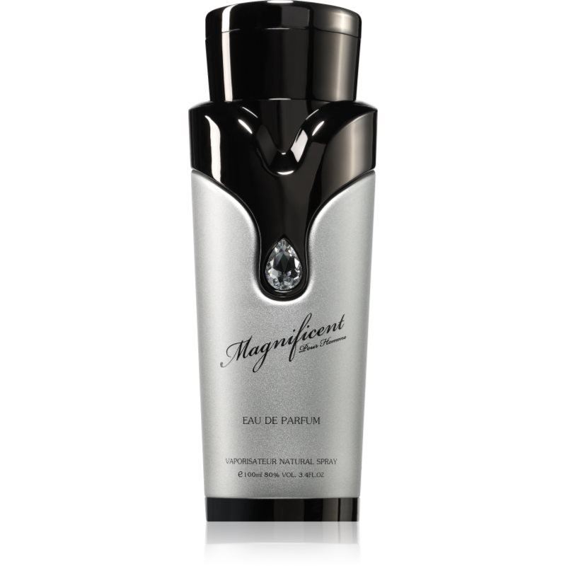 Armaf Magnificent Pour Homme Eau De Parfum Per Uomo 100 Ml