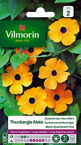 Vilmorin 5809542 Pianta Rampicante, Giallo, 90 X 2 X 160 Cm