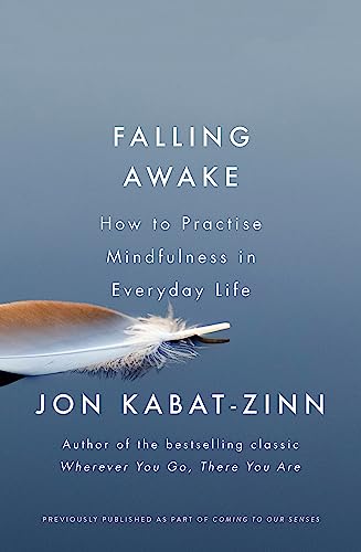 Falling Awake: How To Practice Mindfulness In Everyday Life