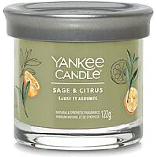 Candela Yankee Candle 2654104E