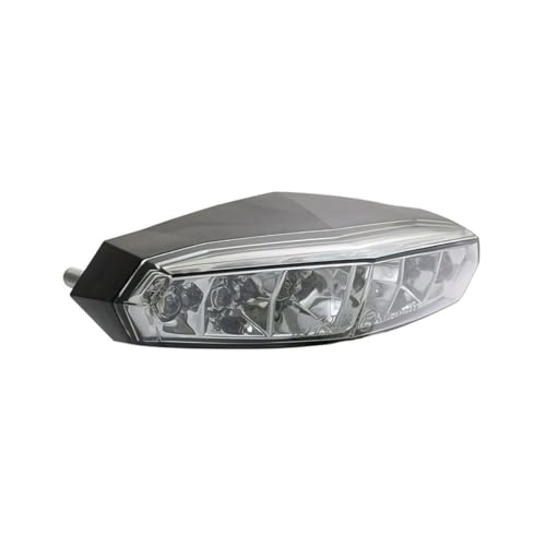 Faro Posteriore A Led, Vetro Fume, Con Illuminazione Targa