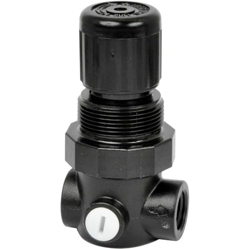 Regolatore Di Pressione Miniatura Gamma Di Pressione 0,3-3,5 Bar Connessione G1/4 Norgren R91W-2Gk-Nen