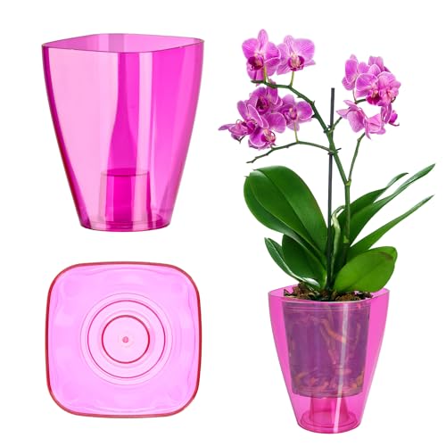 Kadax Flowerpot, Slim Orchid Pot, Semplice Fioriera, Secchio Di Fiori Per Orchidea, Erba Da Ragazzo, Margherita, Roba Per Cucina E Soggiorno (⌀ 9 Cm,