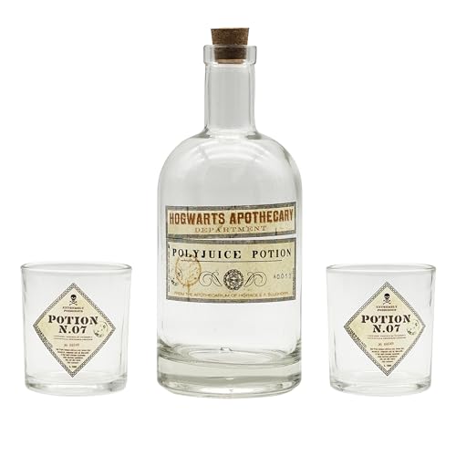Harry Potter Bottle And Glasses Set Potion