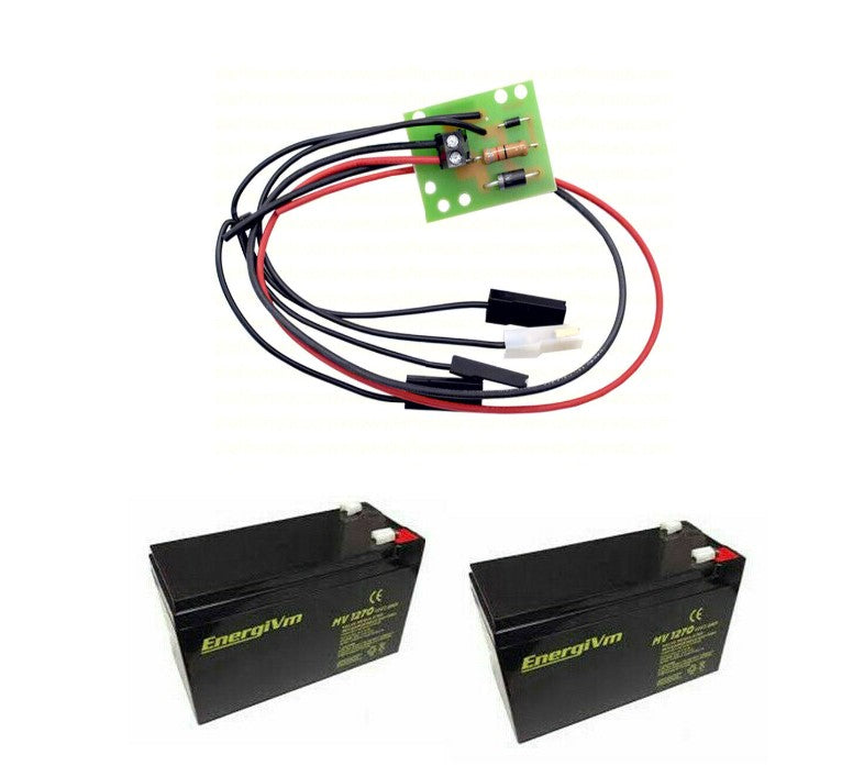 Pacco batterie batteria tampone caricabatteria ekos m2 24v dieffematic