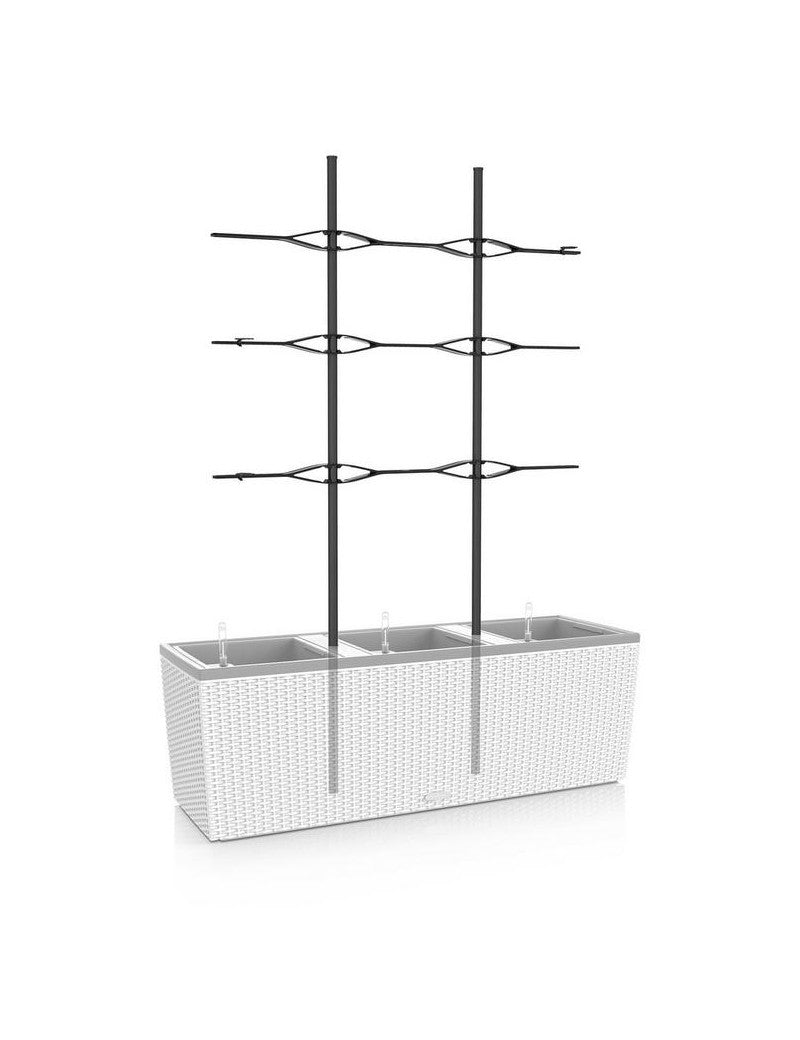 Graticcio per trio | 30 cm - nero