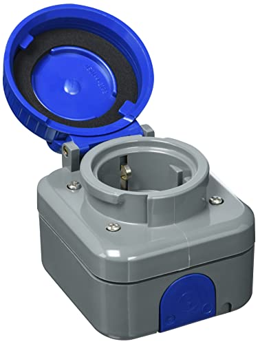 Busch- Jaeger 2300 - Presa Schuko 2300 Ewdi