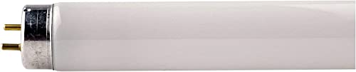 Philips Leuchtstofflampe 18W 6500K G13 Tl-D 18W/865