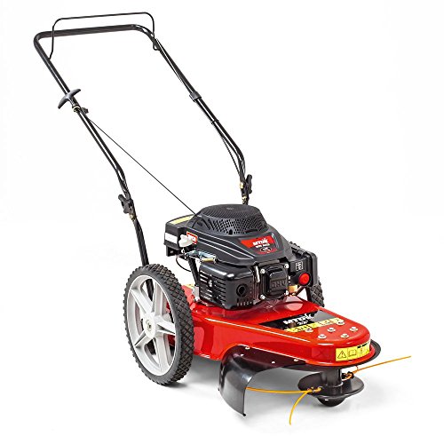Rasaerba A Scoppio Su Ruote Modello Wst 5522