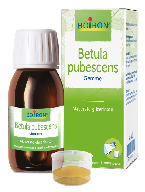 Boiron betula pubesc mg 60ml
