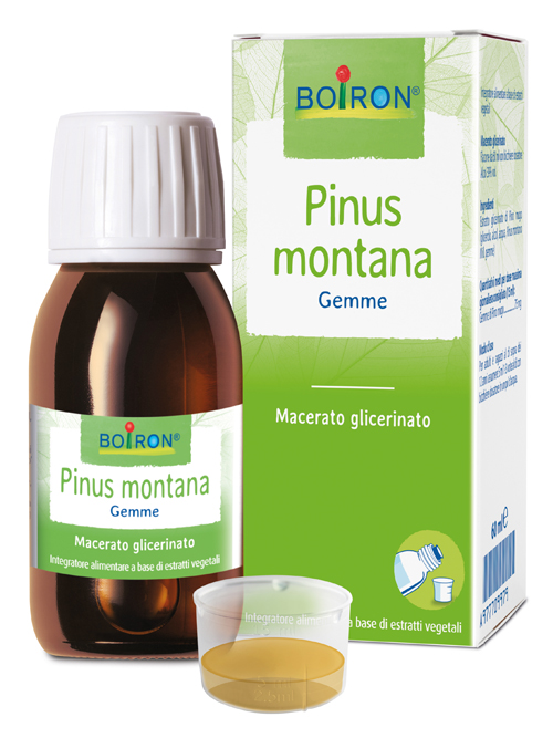 Boiron pinus montana mg 60ml