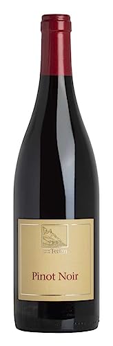 Südtirol - Alto Adige Doc Pinot Noir Terlano 2021 0,75 ℓ