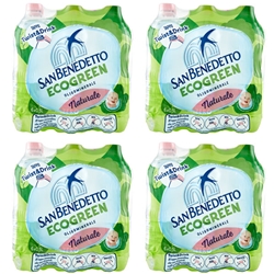 Acqua naturale San Benedetto Ecogreen 500 ml conf. 24