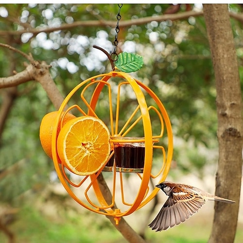 mangiatoia per uccelli oriole per esterni gelatina e arance, mangiatoia per uccelli oriole con gelatina di frutta arancione, contenitore per bere in m
