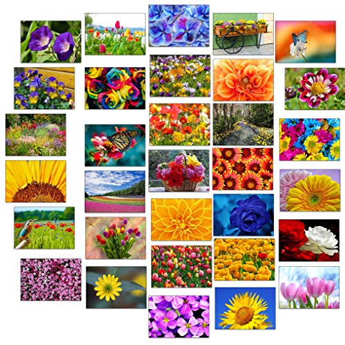 32 Biglietti Di Auguri Con Fiori Colorati Con 32 Buste, Fiori E Giardino..