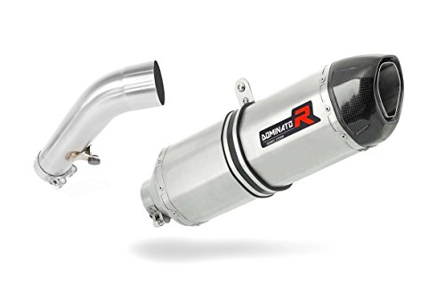 Dominator Terminale Di Scarico Marmitta Silenziatore Hp1 Compatibile Con R1200R 2006-2009