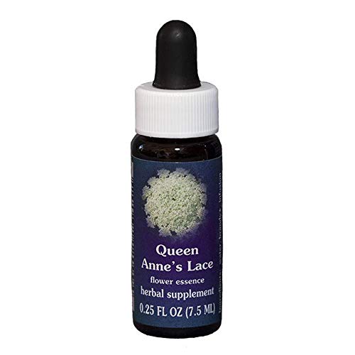 Natur Queen Anne'S Lace (Daucus Carota) Essenze Californiane 7,4Ml