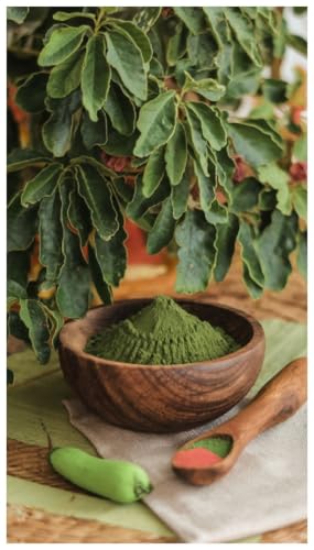 100 G/0,22 Libbre Vero Henné Marocchino Mehendi Polvere Di Henné | Materia Prima Di Alta Qualità