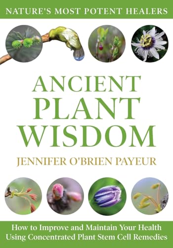 Ancient Plant Wisdom: How To Improve And Maintain Your Health Using Concentrated Plant Stem Cell Remedies