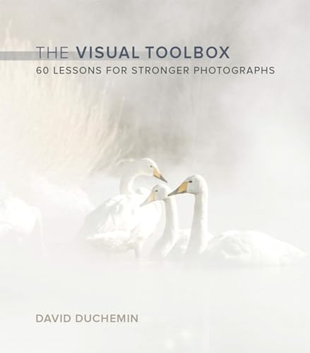 Visual Toolbox [Lingua Inglese]: 60 Lessons For Stronger Photographs