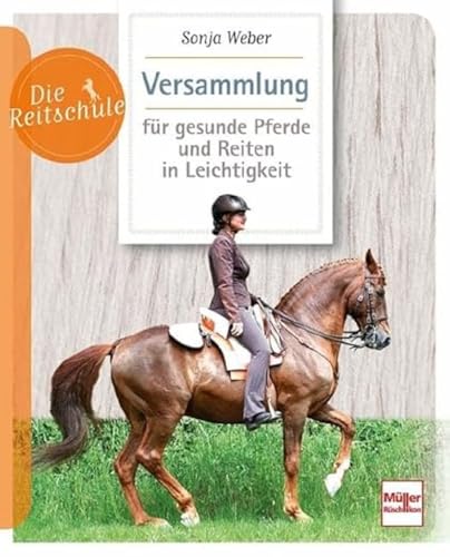Versammlung Für Gesunde Pferde Und Reiten In Leichtigkeit