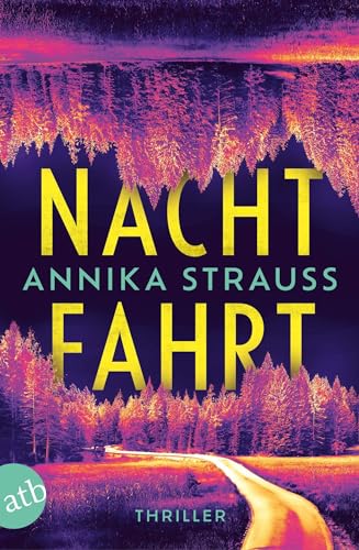 Nachtfahrt: Thriller | 'Spannend!' Romy Hausmann