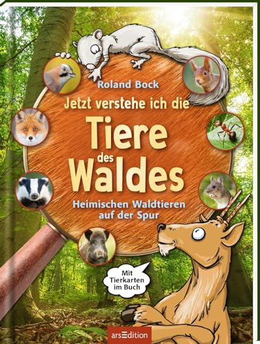 Jetzt Verstehe Ich Die Tiere Des Waldes: Heimischen Waldtieren Auf Der Spur – Mit Tierkarten Im Buch | Kindersachbuch Zu Den 16 Wichtigsten Heimischen