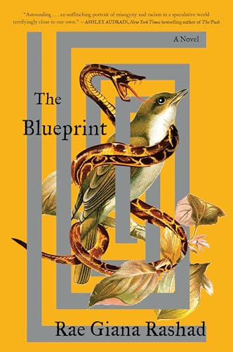 The Blueprint: A Novel