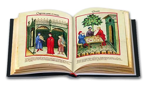 Tacuinum Sanitatis In Medicina: 13