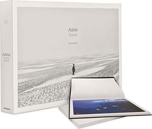 Adelie: Eismeer - Eisland: An Land Und Unter Wasser In Der Antarktis