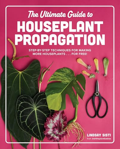 The Ultimate Guide To Houseplant Propagation: Step-By-Step Techniques For Making More Houseplants . . . For Free!