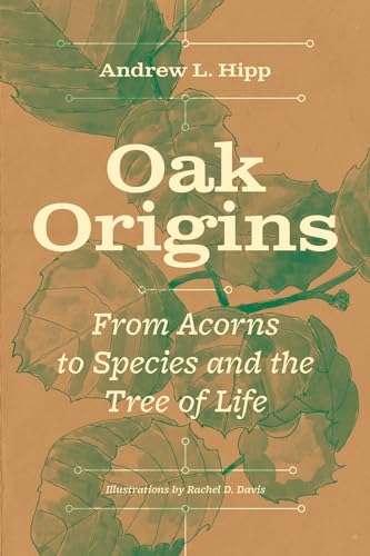 Oak Origins: From Acorns To Species And The Tree Of Life