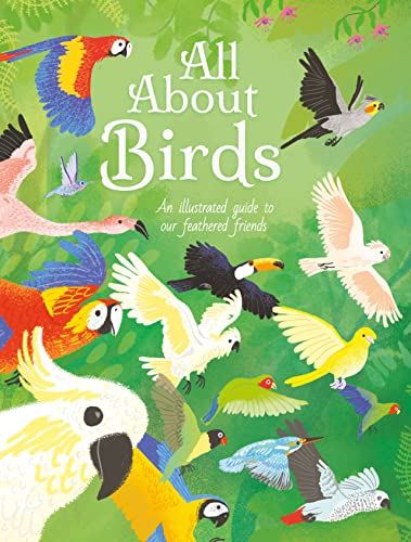 All About Birds: An Illustrated Guide To Our Feathered Friends