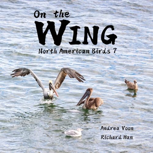 On The Wing - North American Birds 7
